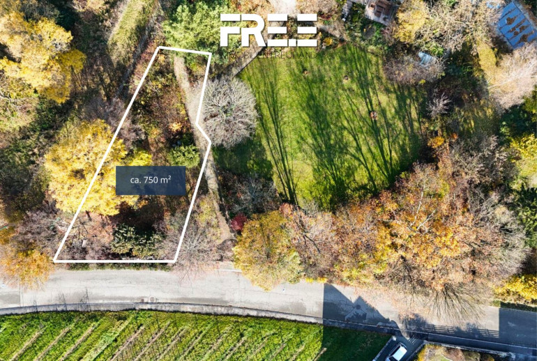 Grundstück - 3481, Fels am Wagram - PARKÄHNLICHE ANLAGE | Bauen Sie mitten ins Grün und genießen Sie die ruhige Lage