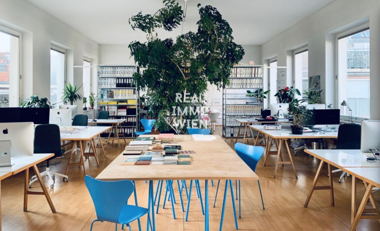 Büro / Praxis - 1050, Wien - Lichtdurchflutetes Loft mit Galerieebene