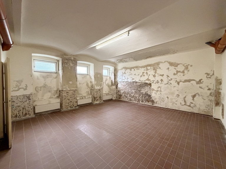 Halle / Lager / Produktion - 1190, Wien - Greinergasse - 30,00m2 Lager im Souterrain zu vermieten
