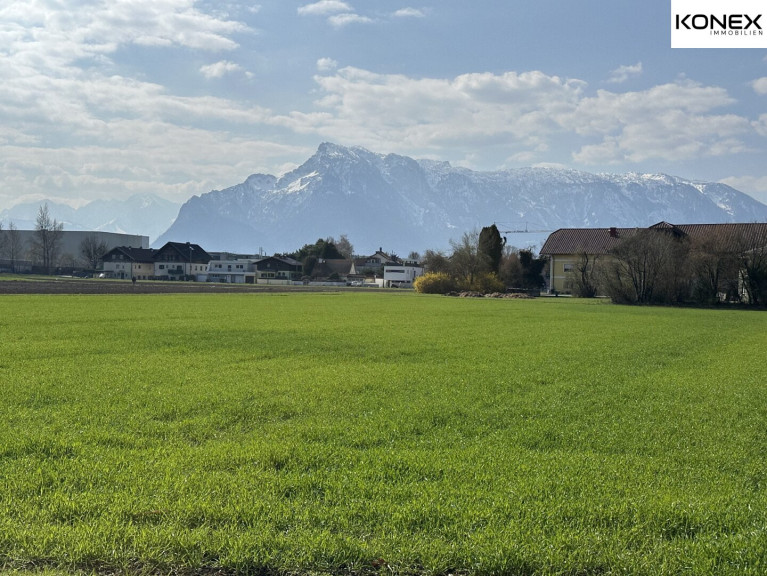 Grundstück - 5020, Salzburg - Sonniges Baugrundstück in Salzburg-Maxglan mit eigener Zufahrt