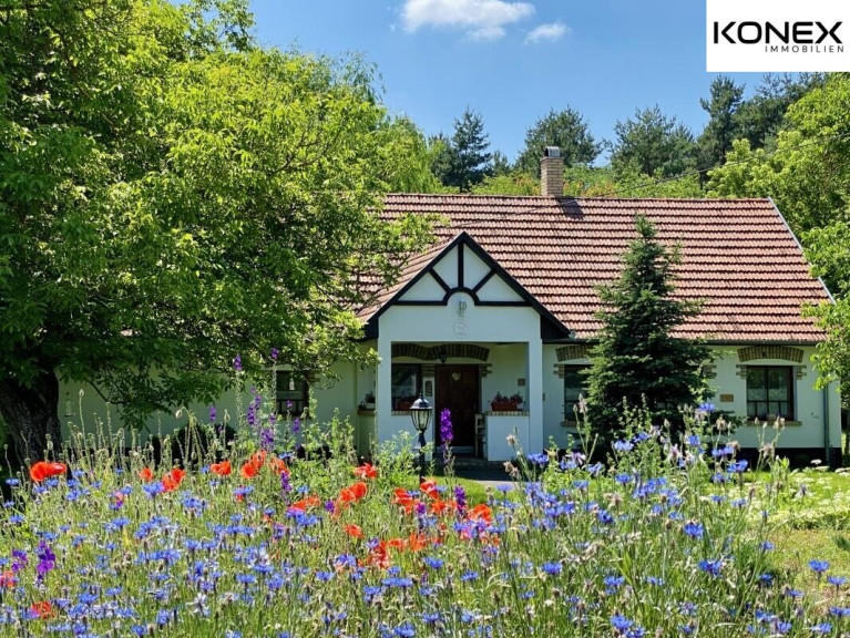 Haus - 6114, Bugac - Wunderschön renoviertes Bauernhaus mit 2 Wohneinheiten in Bugac (Ungarn) – Ruhelage, 19.800 m² Grundstück