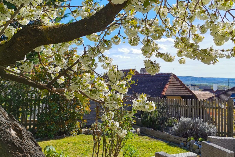 Haus - 3500, Krems/D. - Historisches Juwel in der Kremser Altstadt – Wohnen „Auf der Burg“