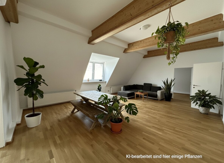 Wohnung - 1080, Wien - Große 5 Zimmer im frisch ausgebauten Dachgeschoss mit DG-Terrasse!