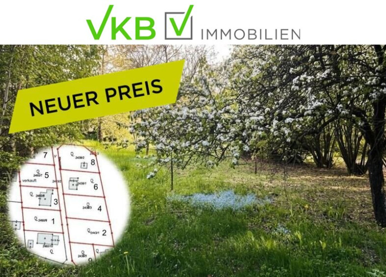 Grundstück - 4211, Spattendorf - Großzügiges Grundstück nähe Gallneukirchen! - Gemeinde Alberndorf in der Riedmark (GST  2443/1)