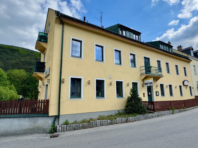Zinshaus Renditeobjekt - 2534, Maria Raisenmarkt - Gästehaus inkl. Restaurant - Gelegenheit in idyllischer Lage