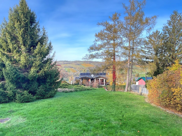 Grundstück - 3400, Weidling - RARITÄT: Traumhaftes Grundstück in Klosterneuburg/Weidling - 1686m².