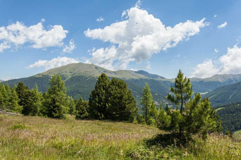 Grundstück - 8864, Turracherhöhe - Alpines Baugrundstück mit gesichertem Zweitwohnsitz auf der Turracher Höhe