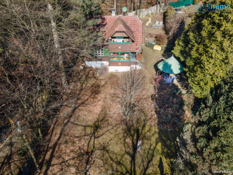 Grundstück - 3032, Eichgraben - Charmantes Waldgrundstück in Eichgraben mit Altbestand & Entwicklungspotenzial – 329.000 €!