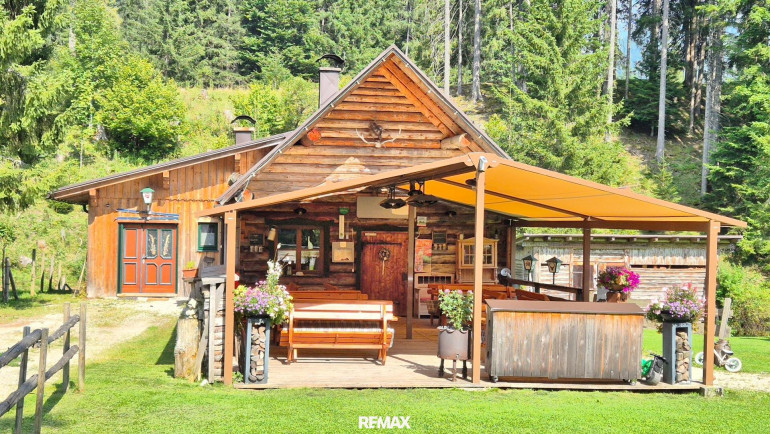 Land und Forstwirtschaft - 8983, Bad Mitterndorf - Bad Mitterndorf: Almhütte!! auf Eigengrund mit Nebengebäuden