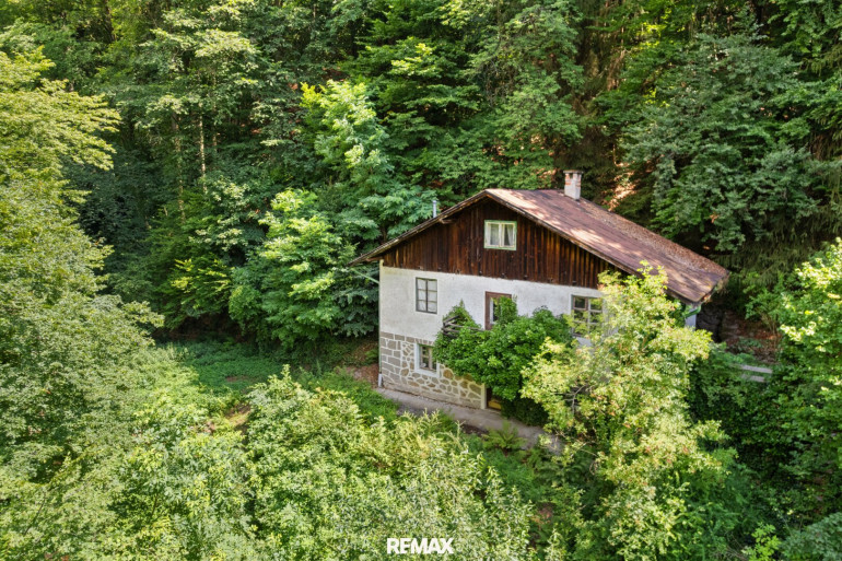 Haus - 4040, Linz - Ruhige Grundstückslage mit Altbestand – Naturidylle in Urfahr