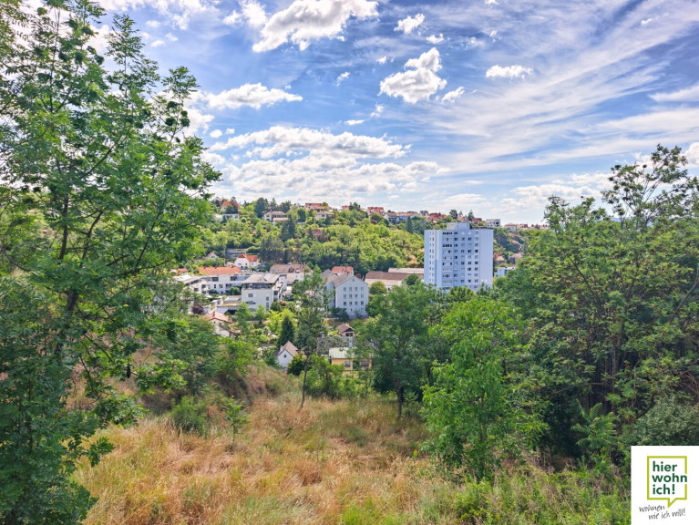 Grundstück - 3500, Krems an der Donau - Einzigartiger Baugrund über den Dächern von Krems mit toller Fernsicht