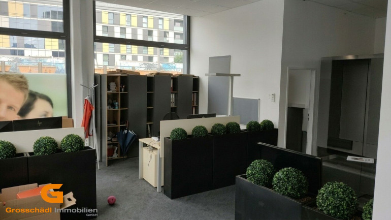 Büro / Praxis - 5020, Salzburg - Salzburg Nord - Büro / Showroomflächen mit bester Sichtbarkeit mieten