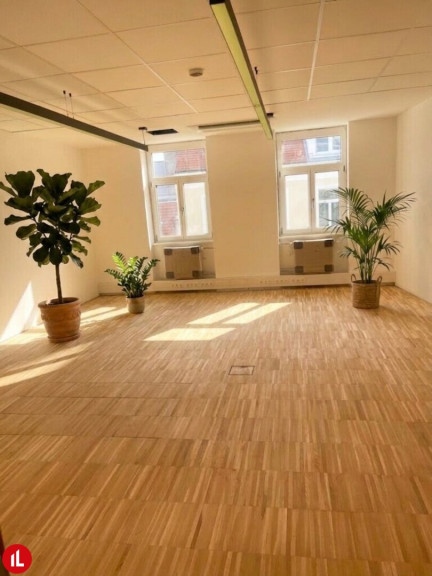 Büro / Praxis - 2500, Baden - NEU | ERSTBEZUG | REPRÄSENTATIVE BÜROFLÄCHE "MANDELBLÜTE" IN BADEN