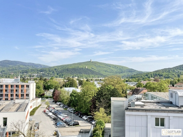 Wohnung - 2500, Baden - Nähe Altstadt! Bis Februar 2027 befristet vermietete Dachgeschoss-Studio-Wohnung mit Fernblick