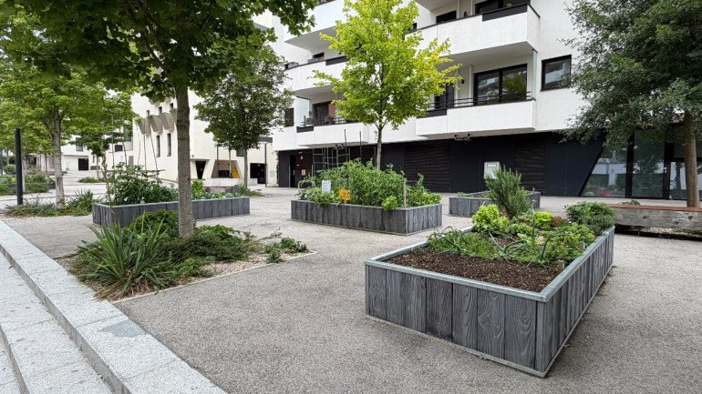 Wohnung - 1100, Wien - Neubau, 4 Zimmer - absolute Grünruhelage mit direktem Blick in den Otto-Benesch-Park