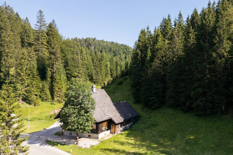 Haus - 3294, Neuhaus-Langau - Uriges Forsthaus am Zellerrain