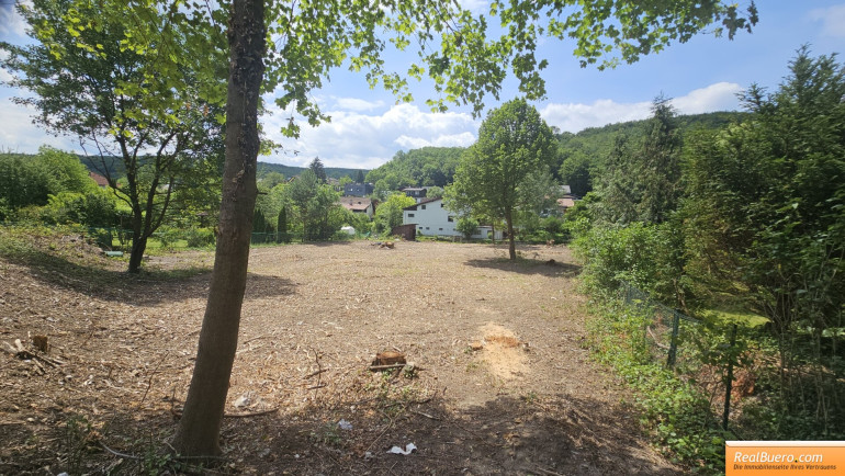 Grundstück - 3003, Gablitz - GABLITZ: 2178 m2 GRUNDSTÜCK - HIER KÖNNEN SIE IHREN WOHNTRAUM VERWIRKLICHEN