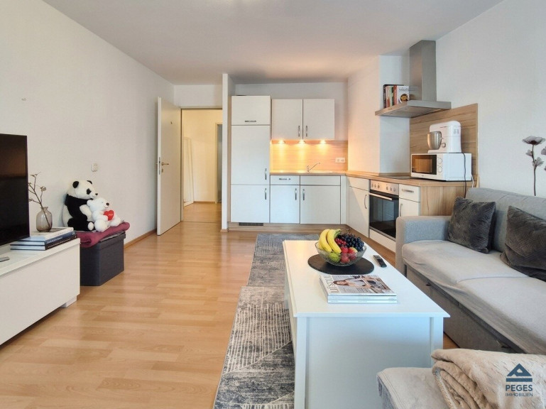 Wohnung - 5400, Hallein - Vermietete Großgarconniere samt Parkplatz in zentraler Altstadtlage - Hallein