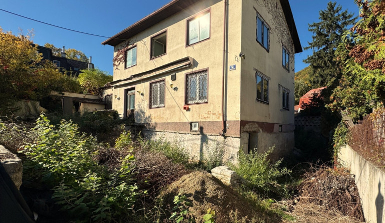 Haus - 1190, Wien - Wohnen zwischen Weinberge und Donau: Einfamilienhaus mit Neubauchance