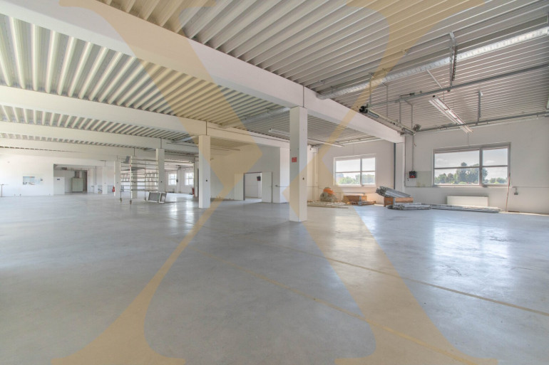 Halle / Lager / Produktion - 4060, Leonding - Großzügige Lagerhalle + Büro mit ca. 871m² Nutzfläche und Lastenlift in Leonding zu vermieten!