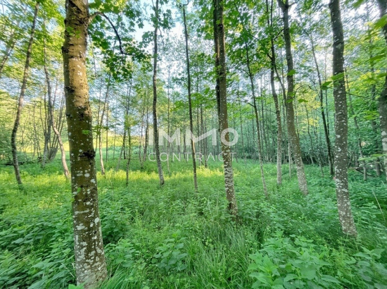 Grundstück - 3321, Ardagger Stift - Erholung pur im eigenen Wald mit Bach und Wiesen nähe Amstetten