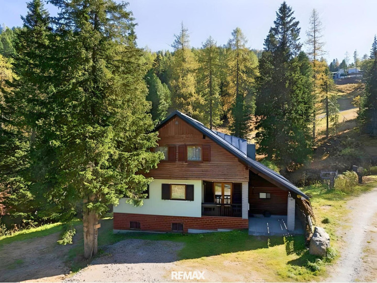 Haus - 8864, Turrach - Großzügiges Almhaus in Toplage und alpiner Lebensqualität