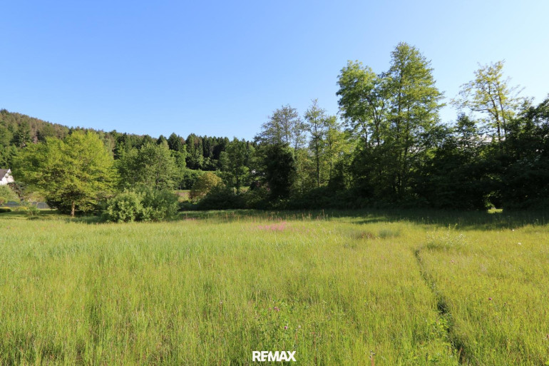 Grundstück - 9081, Reifnitz - Baugrundstück mit See-Nähe und vielseitigen Nutzungsmöglichkeiten