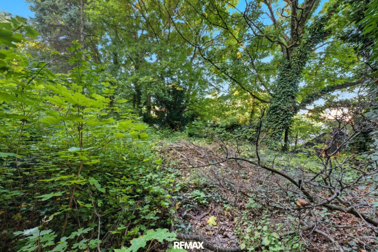 Grundstück - 2102, Bisamberg - Anleger-Baugrundstück in Bisamberg -  Bauland Wohngebiet Widmung!