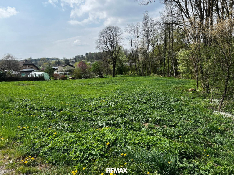 Grundstück - 7537, Neuberg im Burgenland - Grundstück in Neuberg mit Großem Potenzial