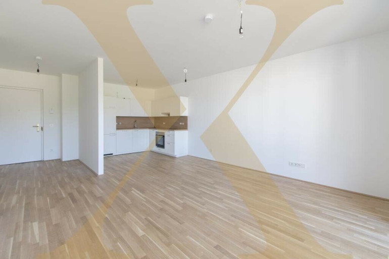 Wohnung - 4020, Linz - Moderne 2-Zimmer-Wohnung mit hofseitigem Balkon nähe Hummelhofwald in Linz zu vermieten!