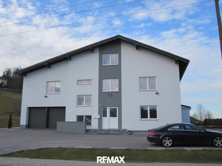 Büro / Praxis - 4616, Weißkirchen - Büro Lager/Ausstellungsflächen