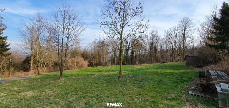 Grundstück - 4484, Kronstorf - Wald und Wiese