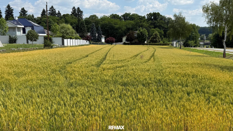 Grundstück - 7512, Kohfidisch - SONNIGES BAUGRUNDSTÜCK ohne Bauzwang