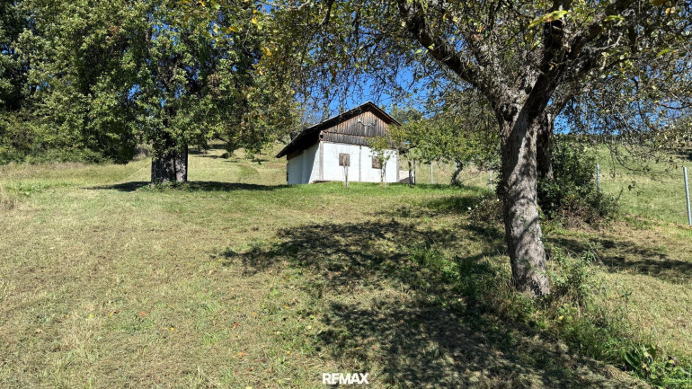 Haus - 7540, Inzenhof - Idyllisches Kellerstöckl mit historischem Charme inmitten von Weingärten & Obstbäumen
