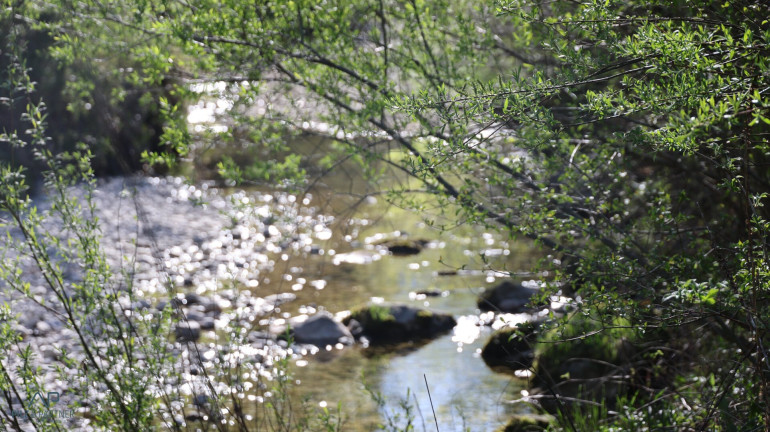Grundstück - 5421, Adnet - Idylle am Bach! Einzigartiges Baugrundstück in Adnet