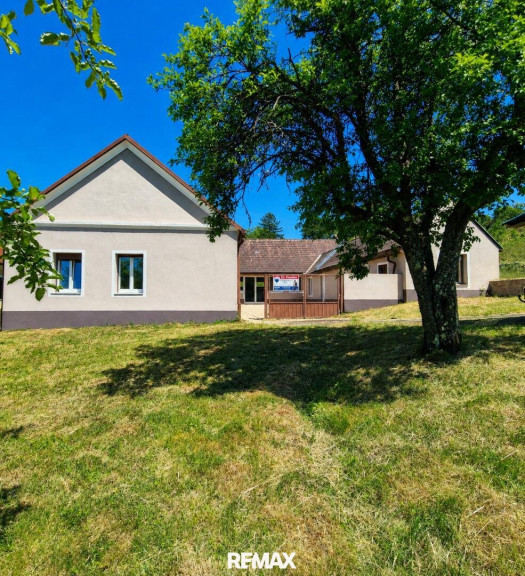 Haus - 7532, Litzelsdorf - Haus mit 2 getrennten Wohneinheiten und Kellerstöckl mit Wiesen und Äcker
