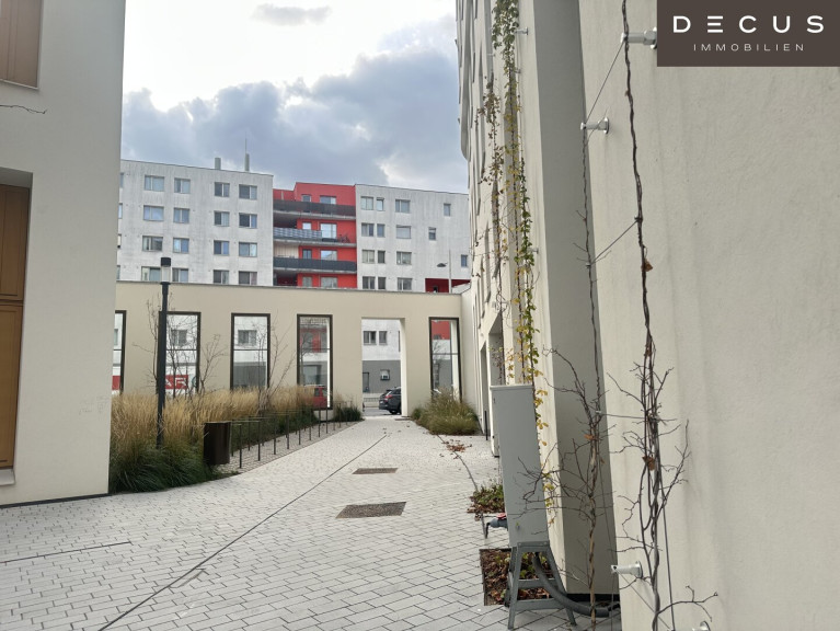 Büro / Praxis - 1220, Wien - | ROBIN | Haus B | Inspired by Nature | Dachterrasse