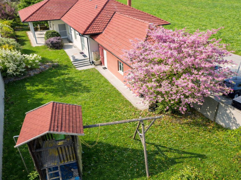 Haus - 4052, Ansfelden - NEUER PREIS! Leistbarer Traum-Bungalow mit Kachelofen überdachter Terrasse, Gartenoase, Wohnkeller und Doppelgarage im Laahfeld /Ansfelden