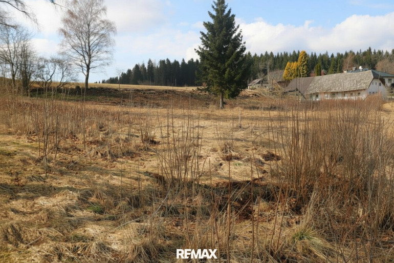 Grundstück - 4184, Köckendorf - Großzügiges Grundstück mit Entwicklungspotenzial – ideal für Eigenheim & Bauträger“