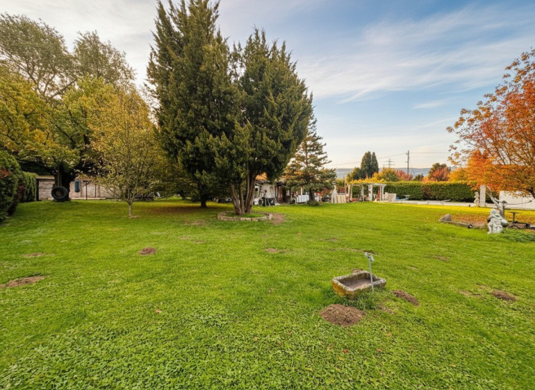 Grundstück - 2103, Langenzersdorf - Kleingarten-Baugrund in Waldrandlage