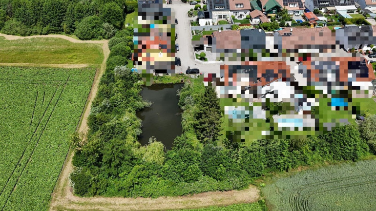 Grundstück - 4600, Wels - Digitales Angebotsverfahren: Sonniges Freizeitgrundstück mit idyllischem Teich in begehrter Lage von Wels-Puchberg