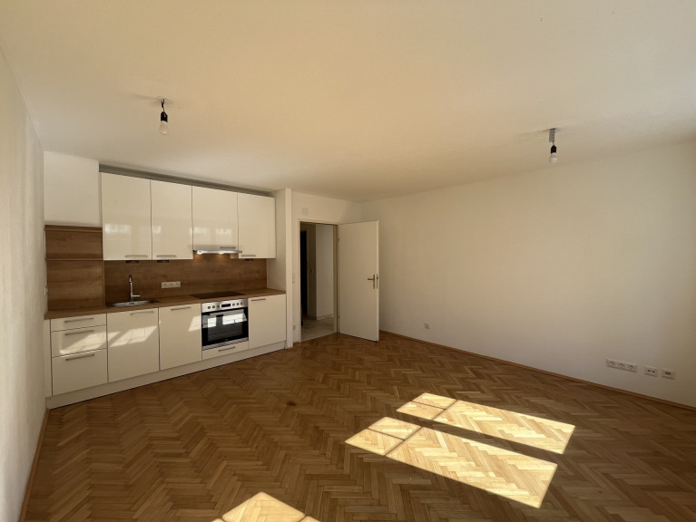 Wohnung - 1100, Wien, Favoriten - Attraktive 2-Zimmer Wohnung nahe Wielandpark in 1100 Wien zu mieten
