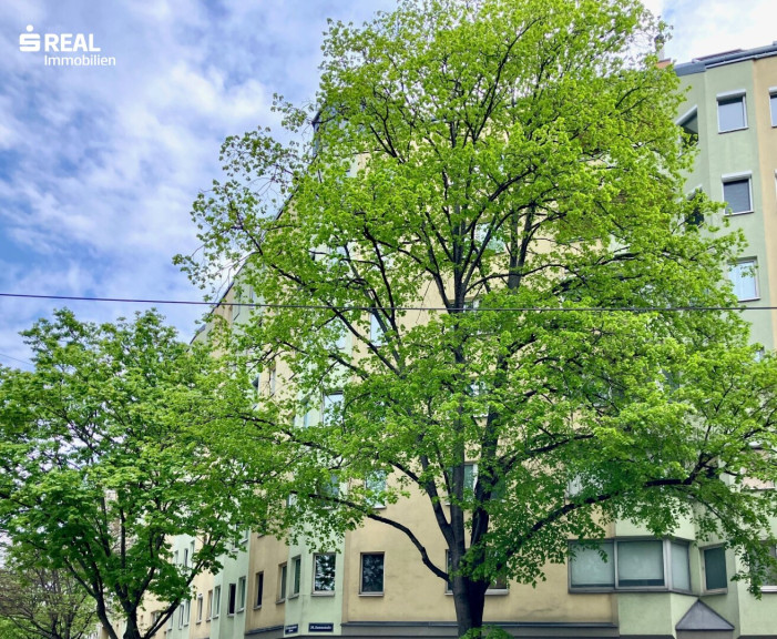 Wohnung - 1200, Wien - NÄHE AUGARTEN – komplett möblierte 3-ZIMMER WOHNUNG – sofort einziehen und wohlfühlen!