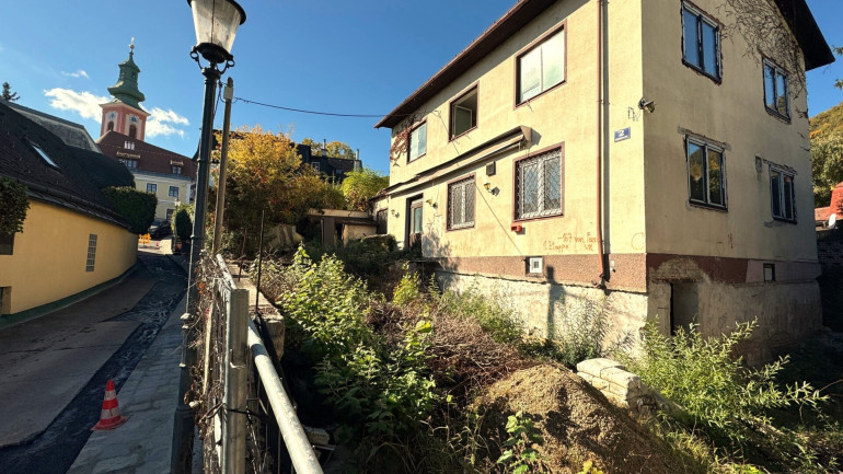 Haus - 1190, Wien - Wohnen zwischen Weinberge und Donau: Einfamilienhaus mit Neubauchance
