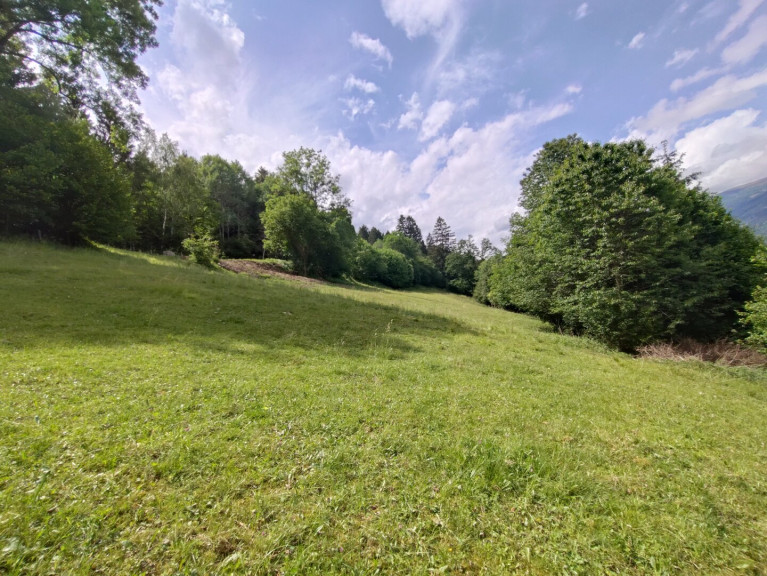 Land und Forstwirtschaft - 9853, Gmünd in Kärnten - Wald-/ und Grünfläche bei Gmünd