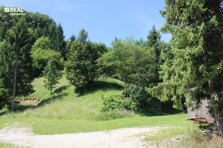 Grundstück - 3264, Gresten - Tolles Baugrundstück in 3264 Gresten