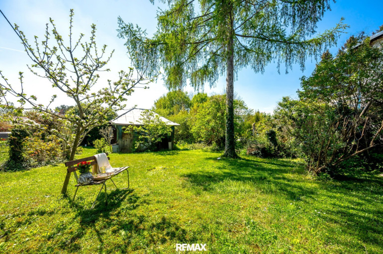 Grundstück - 1170, Wien,Hernals - Ein Stück Grün am Wiener Schafberg – Sommerhaus mit Perspektive