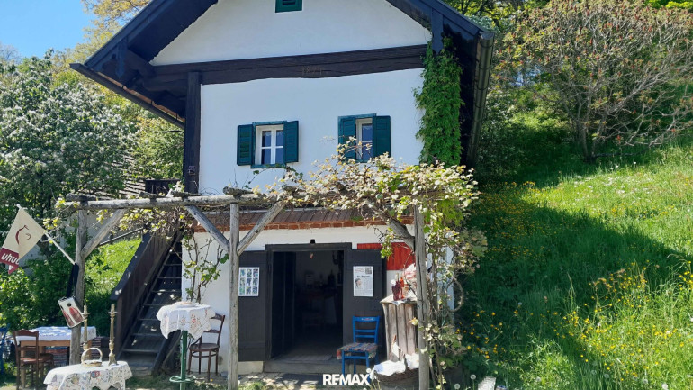Freizeitimmobilie gewerblich - 7522, Heiligenbrunn - Historisches Kellerstöckl unter Denkmalschutz für gewerbliche Nutzung