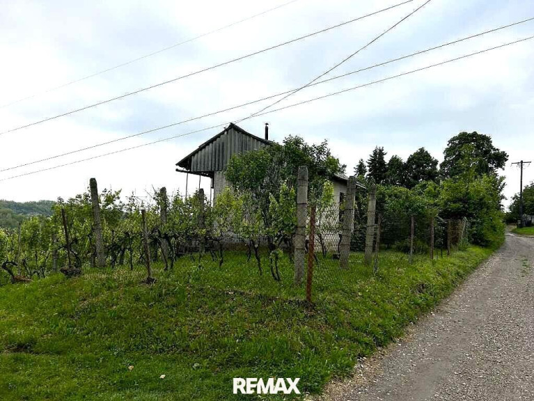 Haus - 8900, Zalaegerszeg - UNGARN: Haus („Pinze“) mit Sicht über die Weinberge 1 Stunde vom Balaton Ungarn