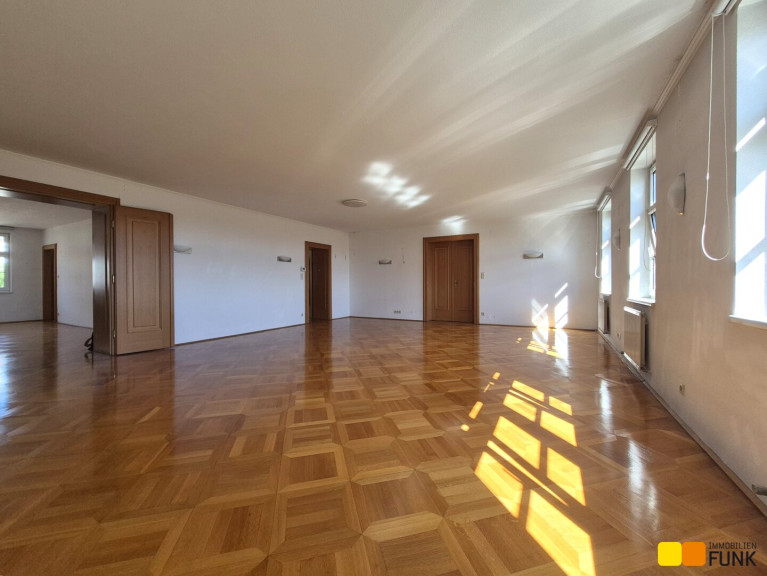 Büro / Praxis - 1010, Wien,Innere Stadt - Historisches Palaisbüro mit Donaublick